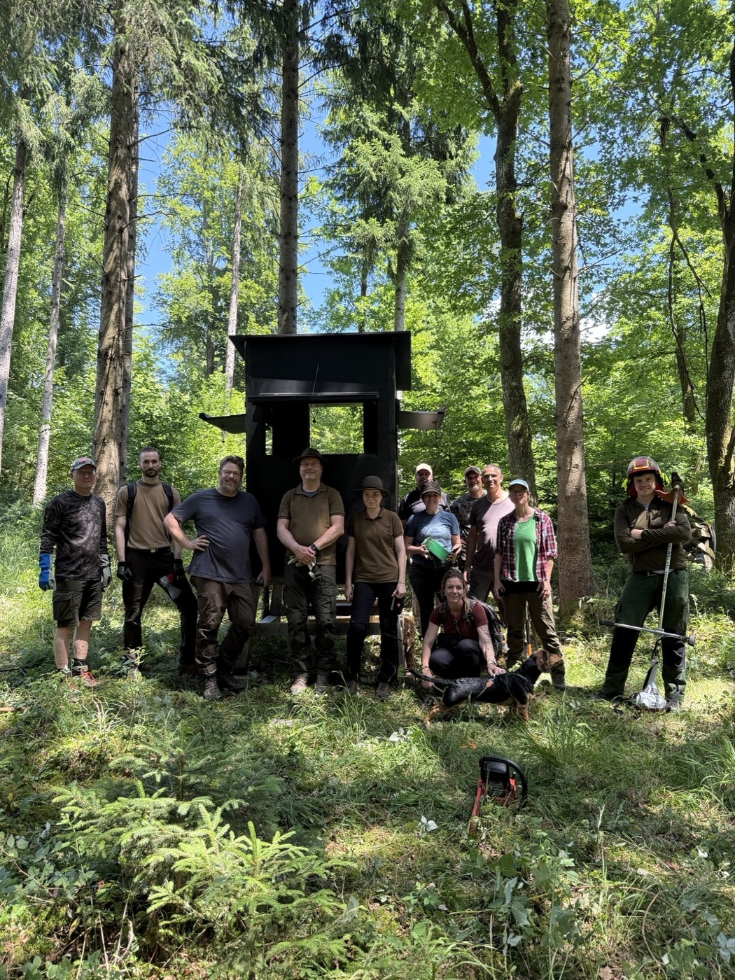 Personengruppe an Holzkanzel im lichten Mischwald, geselliges Beisammensein im Jagdrevier